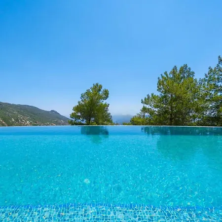 Tas Ev Villa